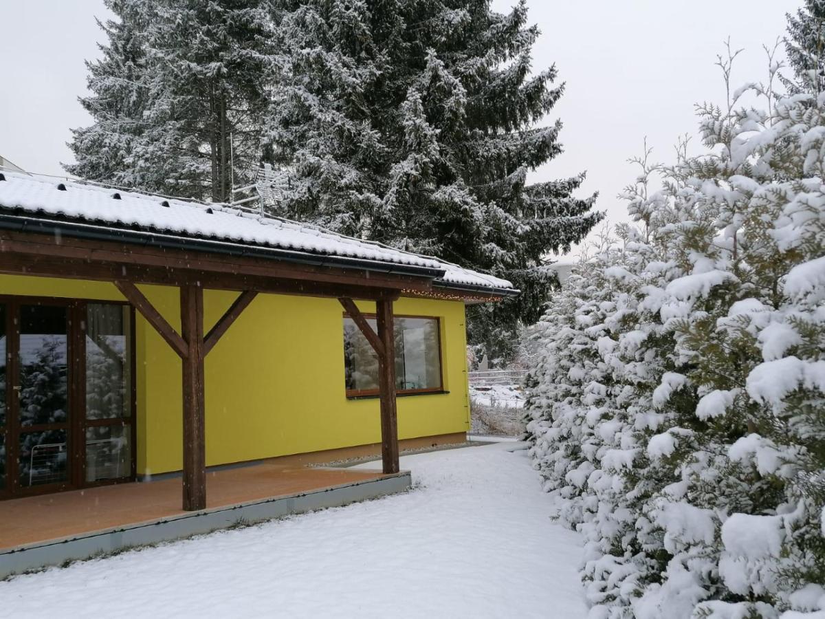 Sunny House Villa Lipno nad Vltavou Kültér fotó