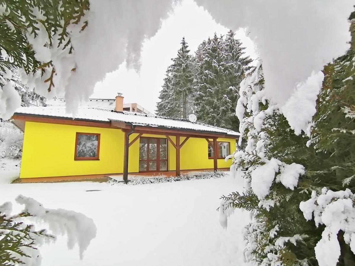 Sunny House Villa Lipno nad Vltavou Kültér fotó