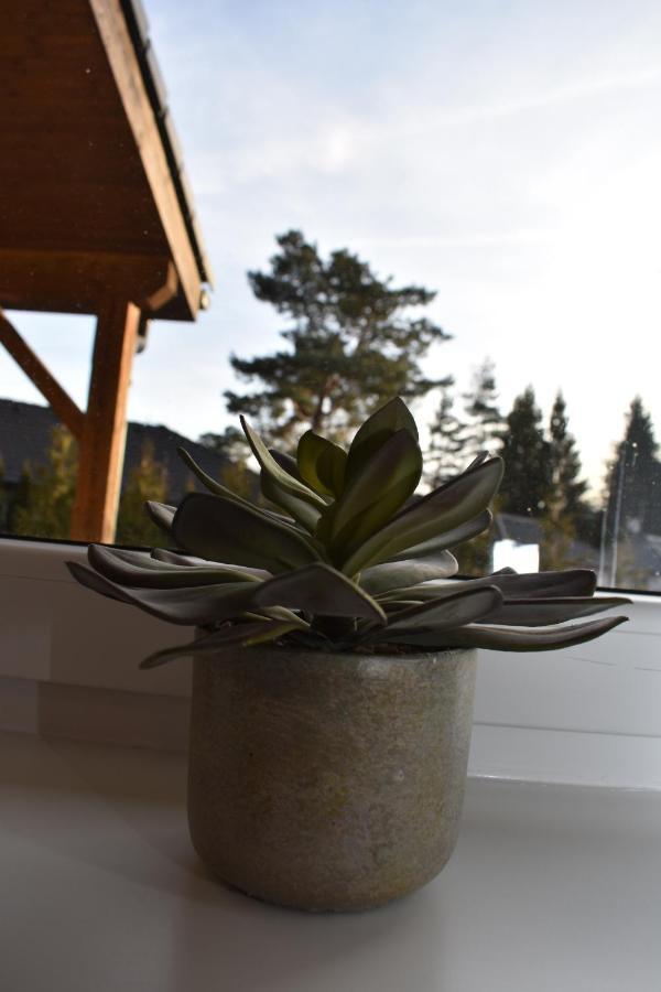 Sunny House Villa Lipno nad Vltavou Kültér fotó
